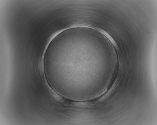 X0000115551004200911061529
