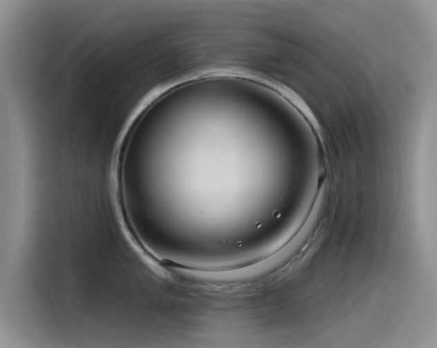 X0000115551005200911061529