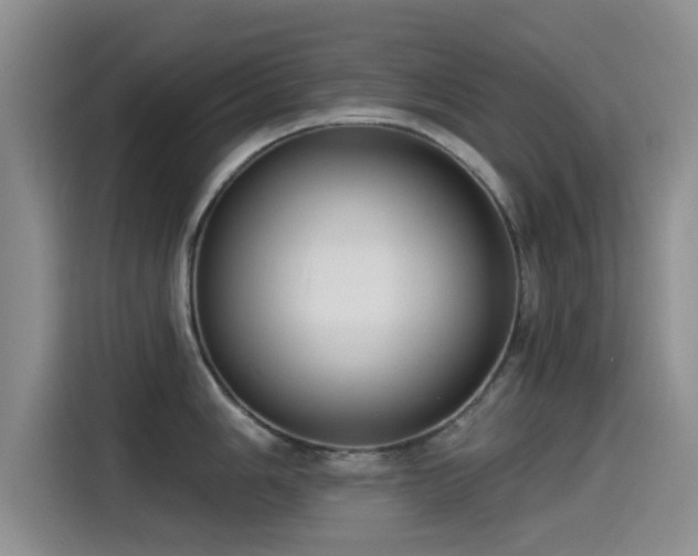X0000115551006200911061529