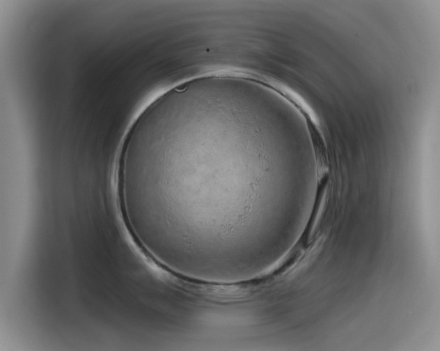 X0000115551007200911061529