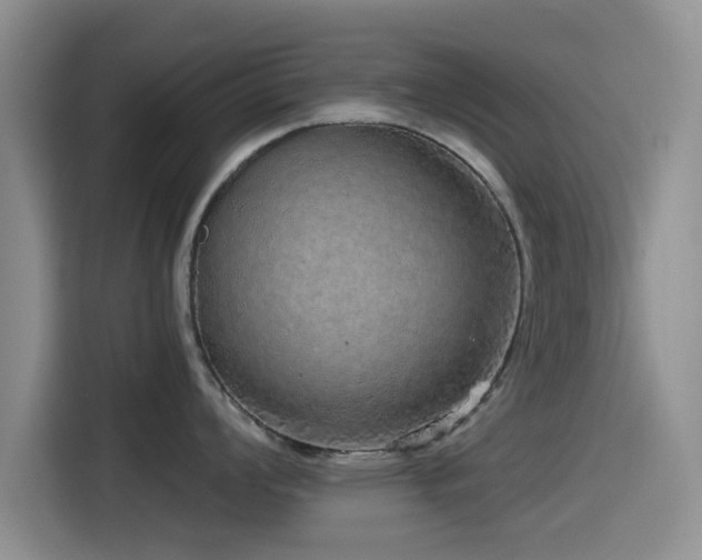 X0000115551008200911061529