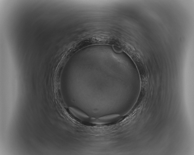 X0000115551009200911061528