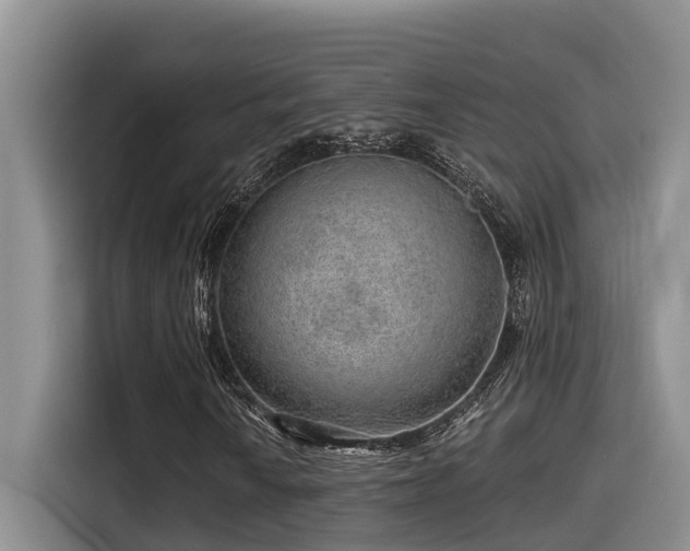 X0000115551010200911061528