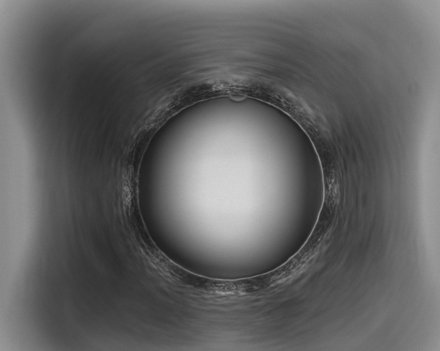 X0000115551012200911061528