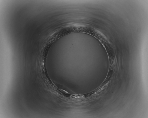 X0000115551013200911061528
