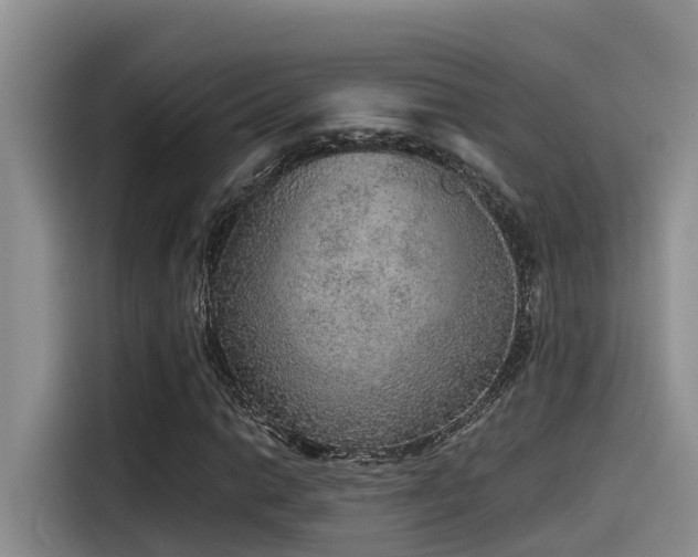X0000115551014200911061528