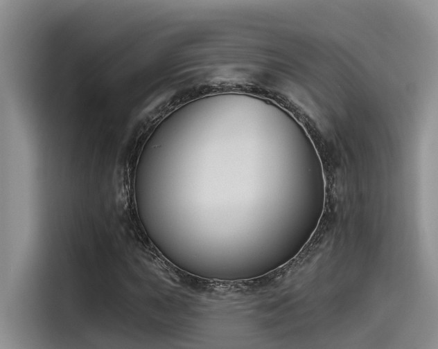 X0000115551015200911061528