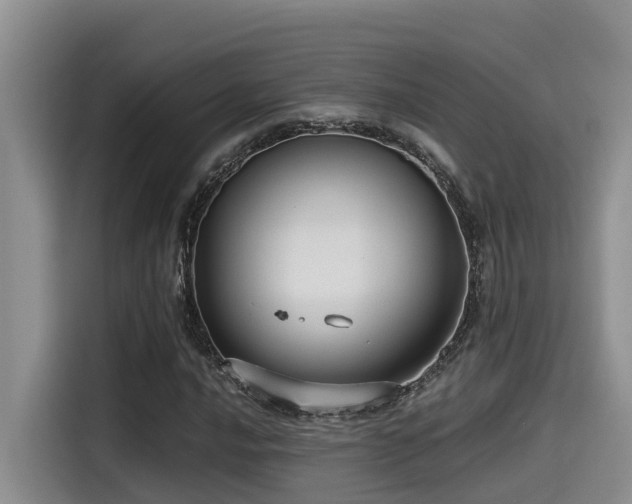 X0000115551016200911061528