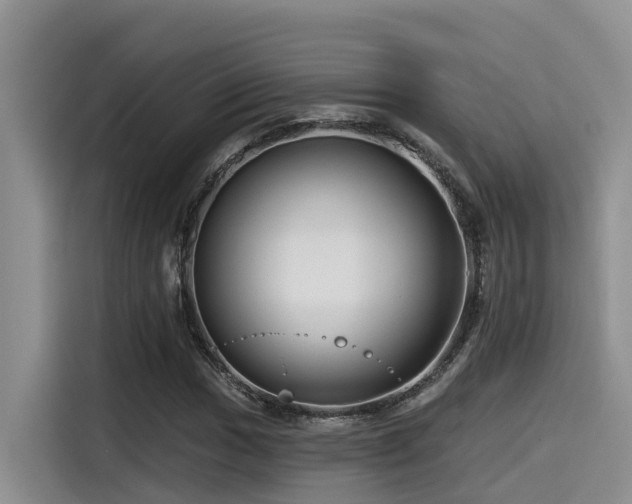 X0000115551017200911061528