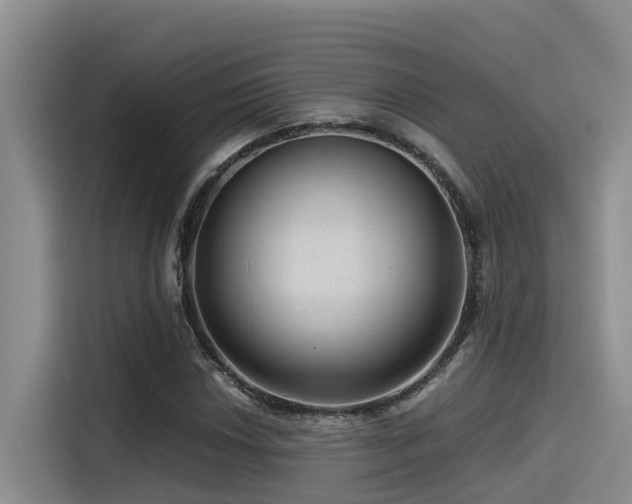 X0000115551018200911061528