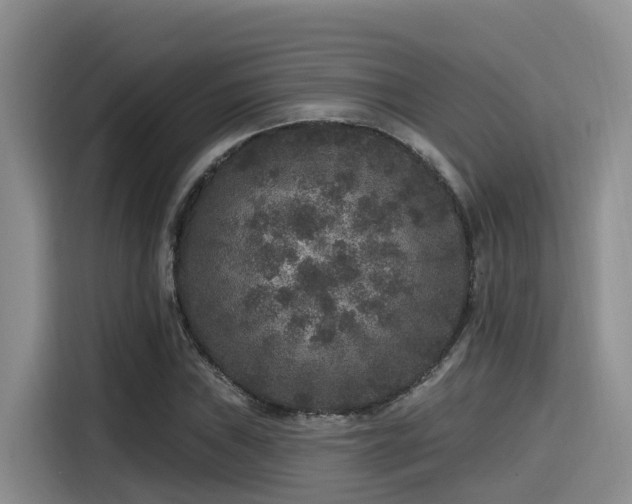 X0000115551019200911061528