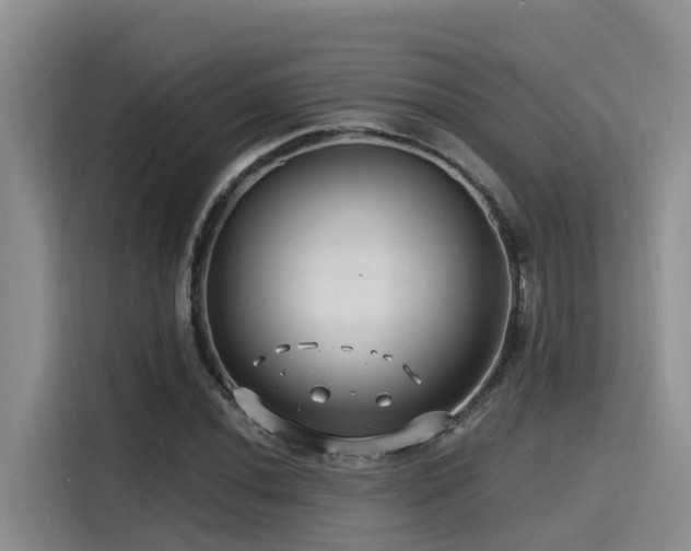 X0000115551020200911061528
