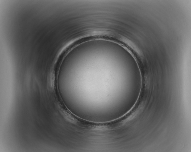 X0000115551021200911061528