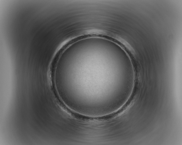 X0000115551022200911061529