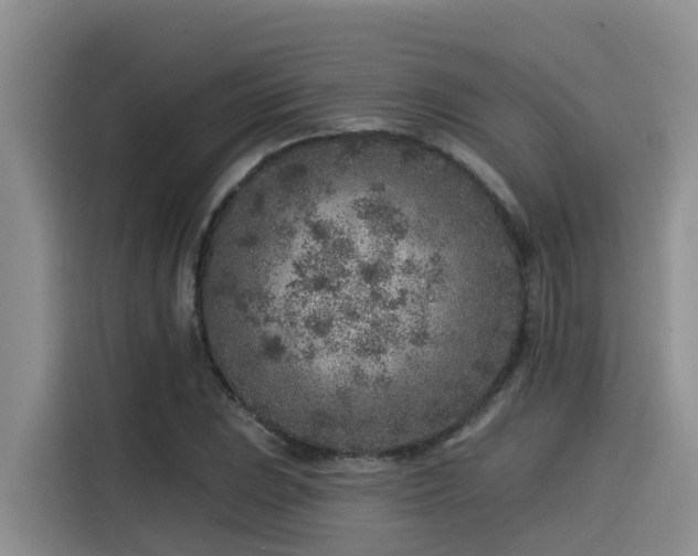 X0000115551023200911061529