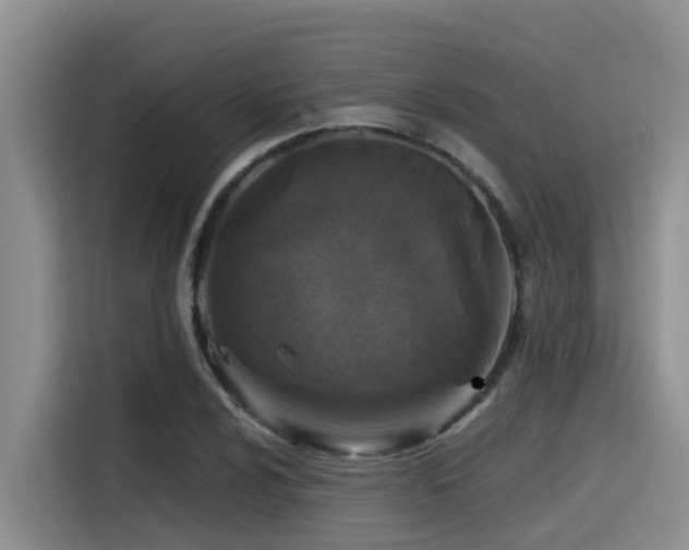 X0000115551024200911061529