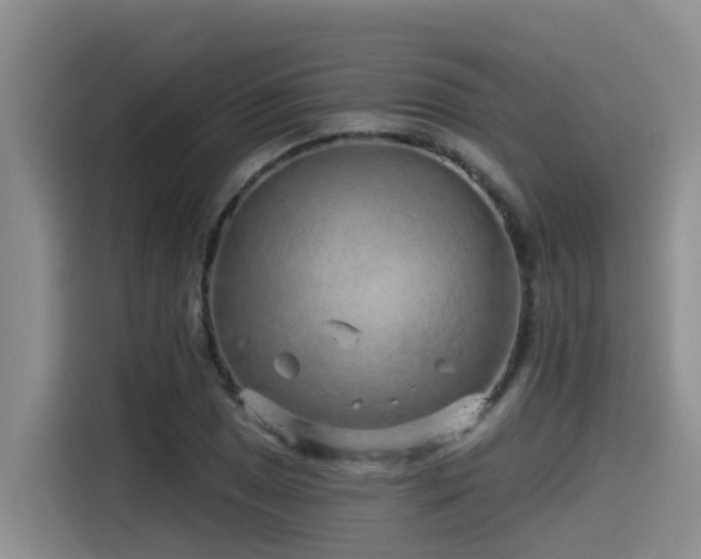 X0000115551025200911061529