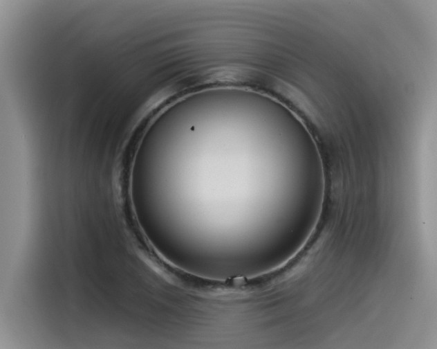 X0000115551026200911061529