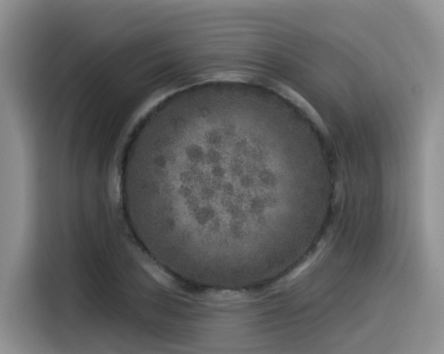 X0000115551027200911061529