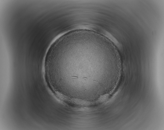 X0000115551028200911061529