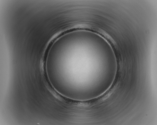 X0000115551029200911061529