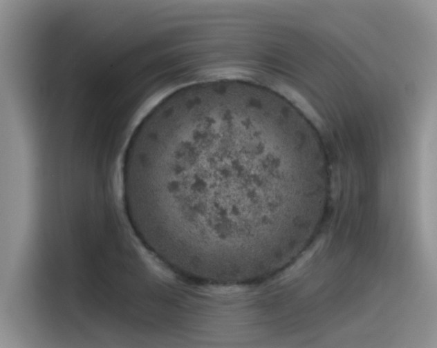 X0000115551031200911061529