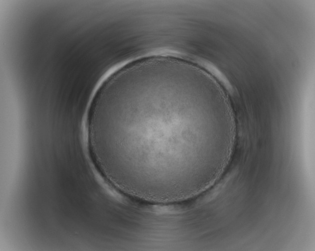 X0000115551032200911061529