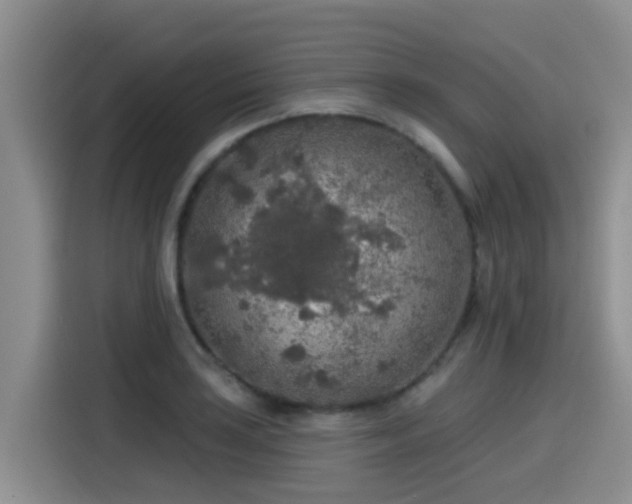 X0000115551035200911061529