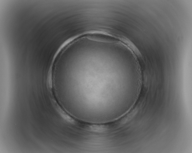 X0000115551036200911061529