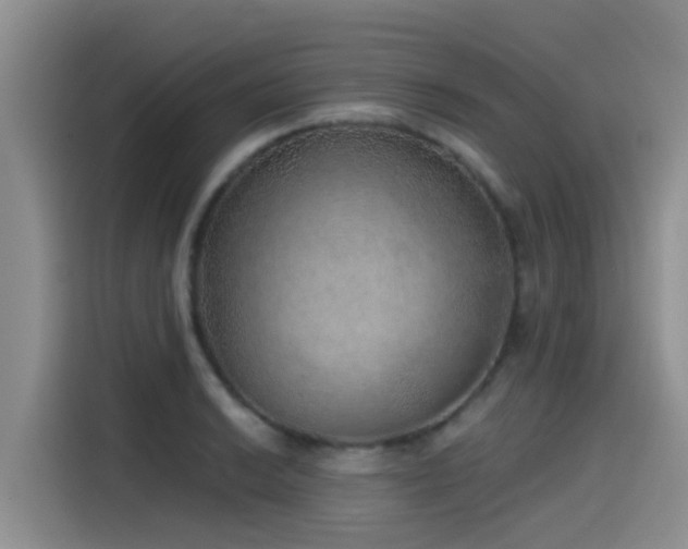 X0000115551038200911061529