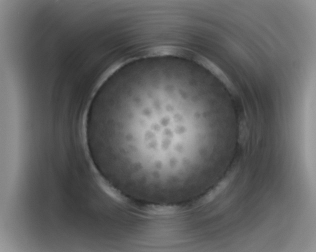 X0000115551039200911061529