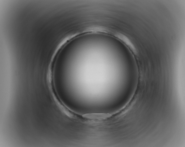 X0000115551040200911061529