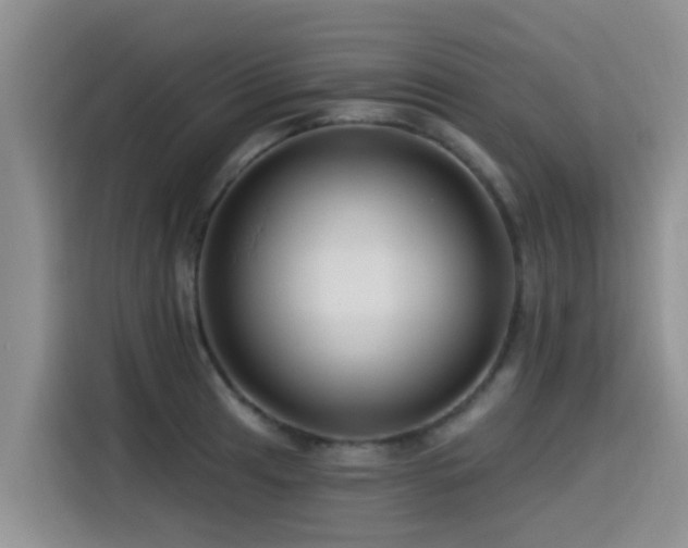 X0000115551041200911061529