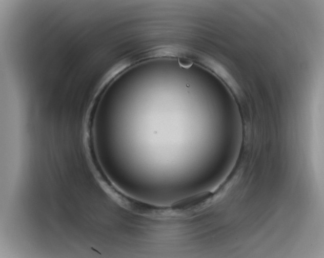 X0000115551042200911061529