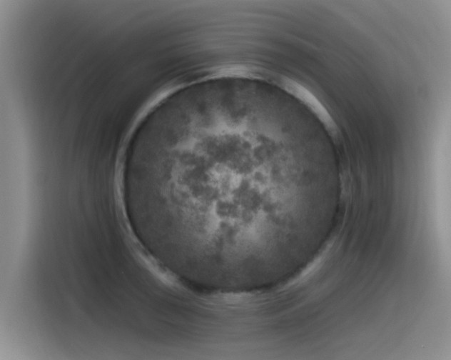 X0000115551043200911061529