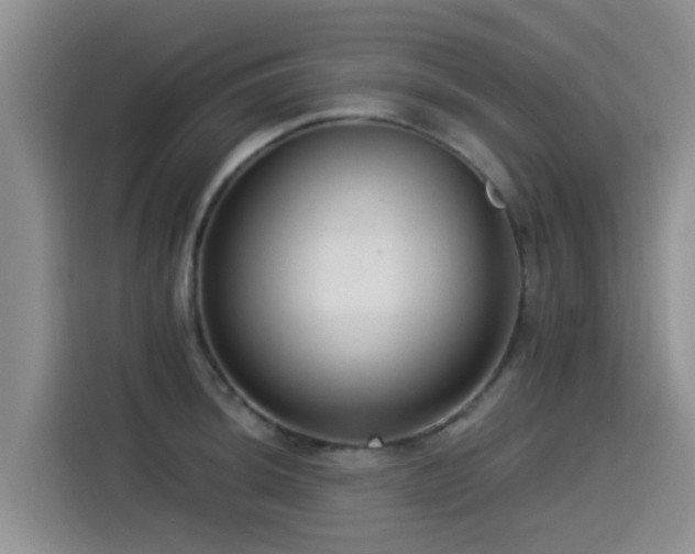 X0000115551044200911061529