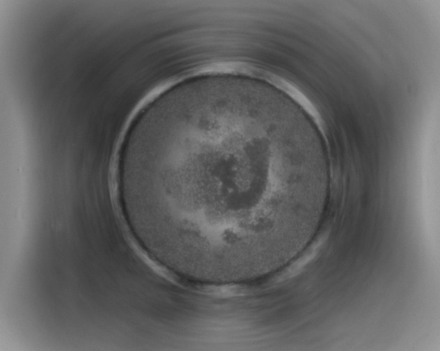 X0000115551045200911061529