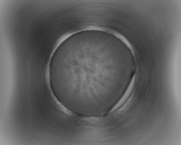 X0000115551048200911061529