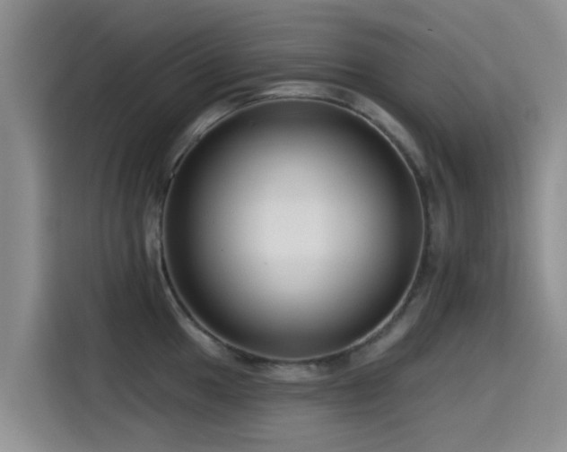 X0000115551049200911061529