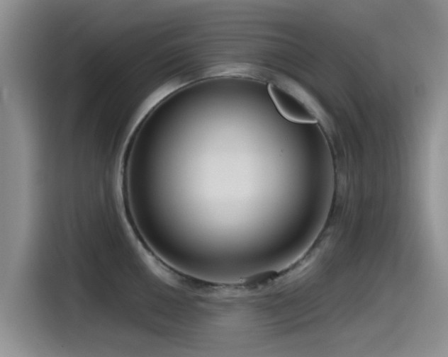 X0000115551050200911061529