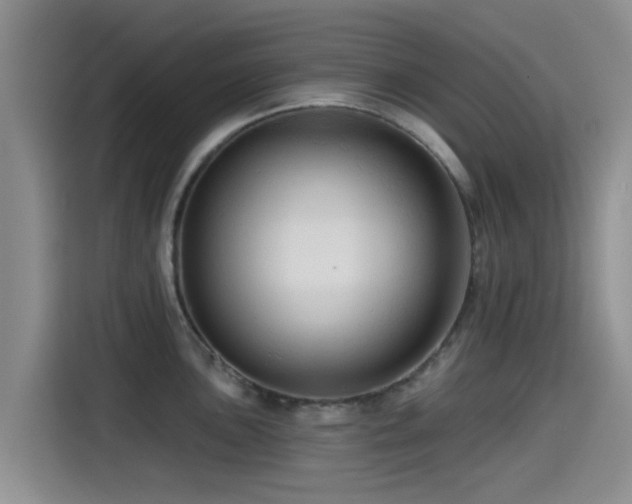X0000115551051200911061529