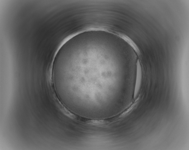 X0000115551052200911061529