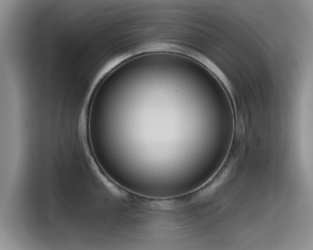 X0000115551053200911061529