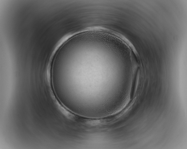 X0000115551054200911061529