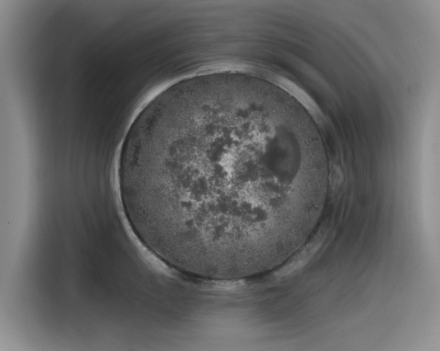 X0000115551055200911061529