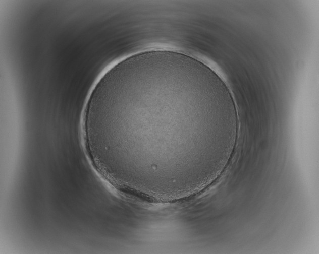 X0000115551056200911061529