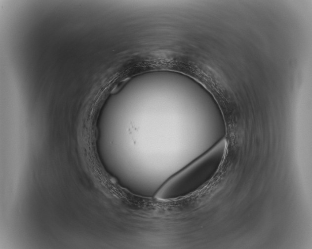 X0000115551057200911061528