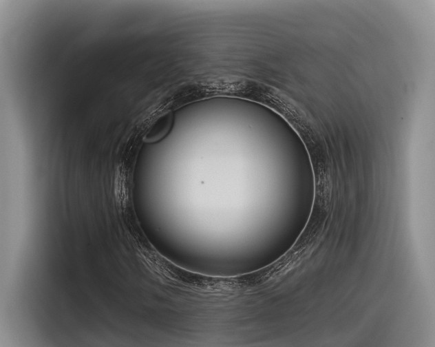 X0000115551058200911061528
