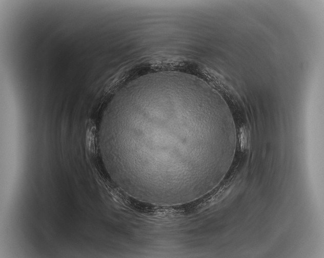 X0000115551059200911061528