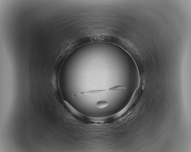 X0000115551060200911061528